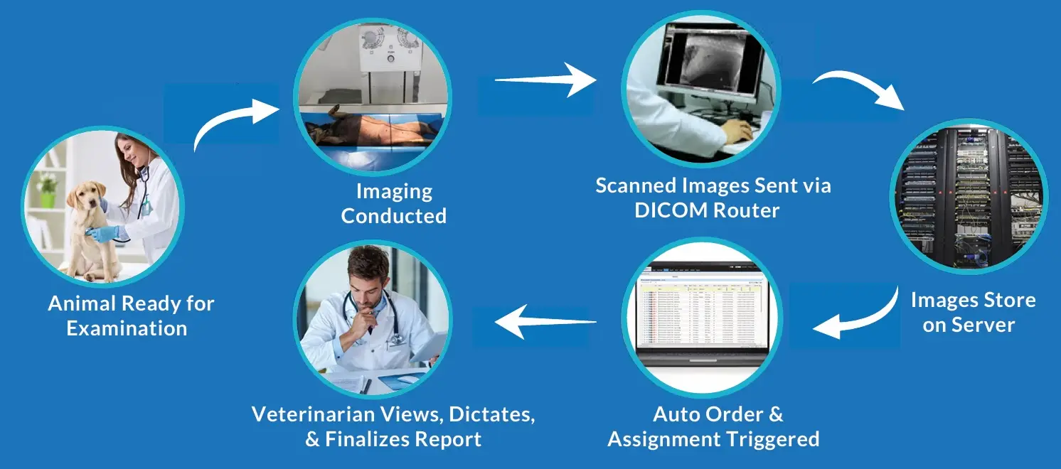 VetSpa Workflow